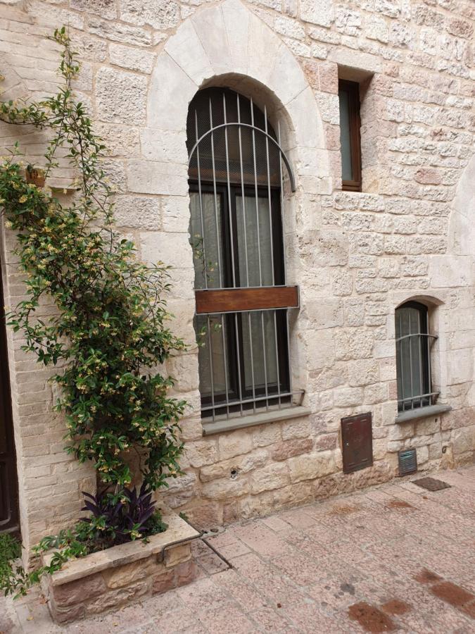 Palazzo Calocci In