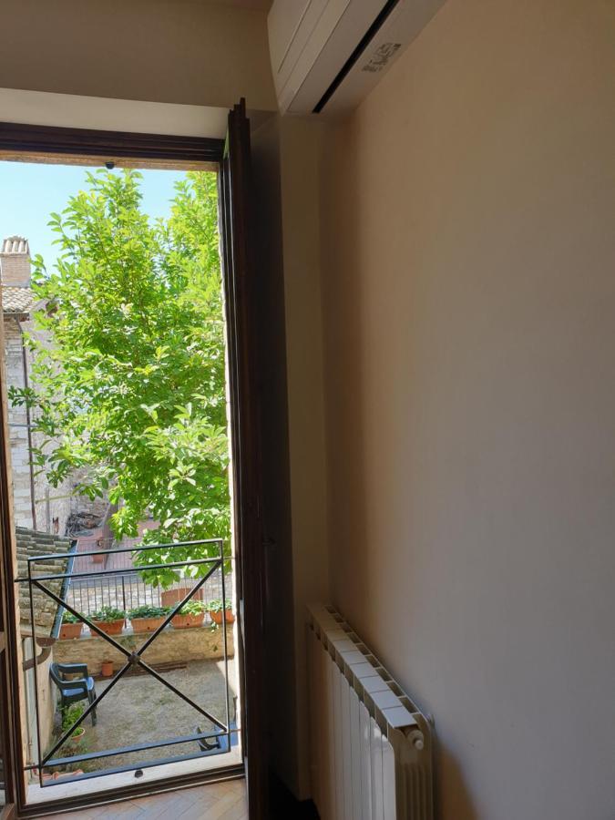 Palazzo Calocci In Apartment