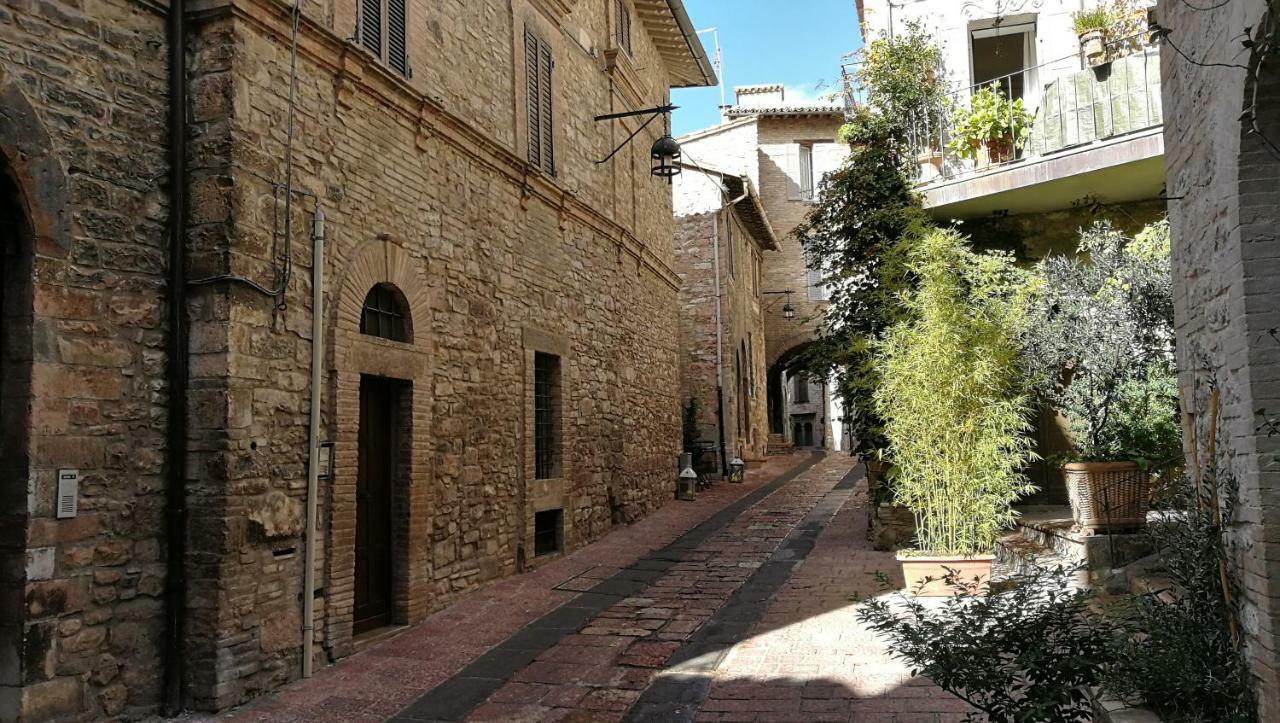 Apartment Palazzo Calocci In Assisi